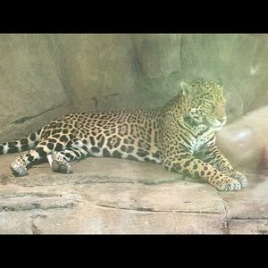 Meet your Posher, Chad